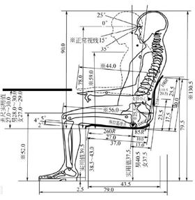人體工學(xué)椅